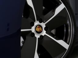 
										PORSCHE TAYCAN cheio									